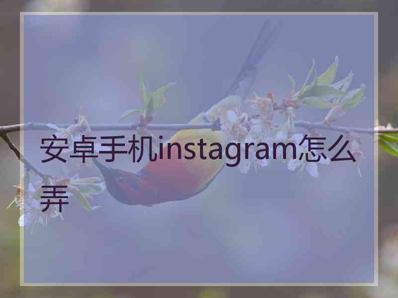 安卓手机instagram怎么弄