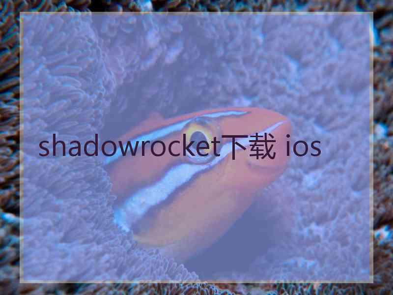 shadowrocket下载 ios