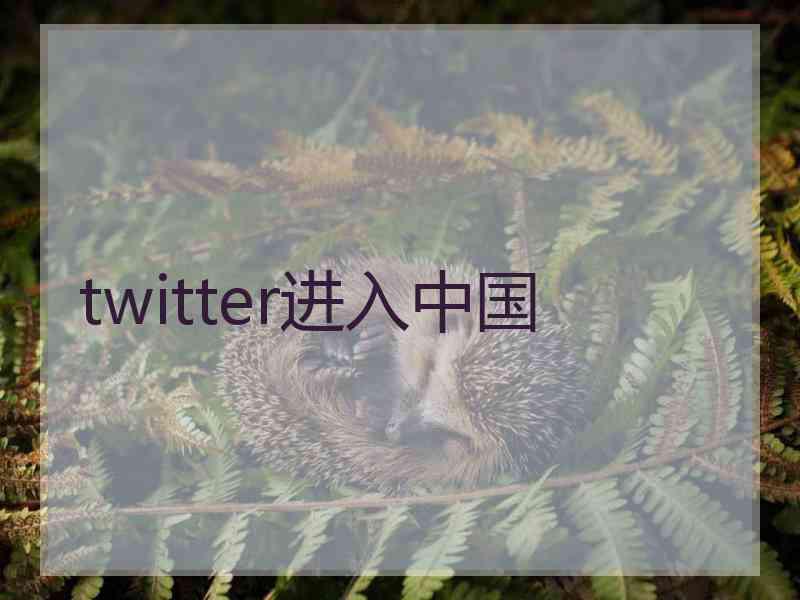 twitter进入中国