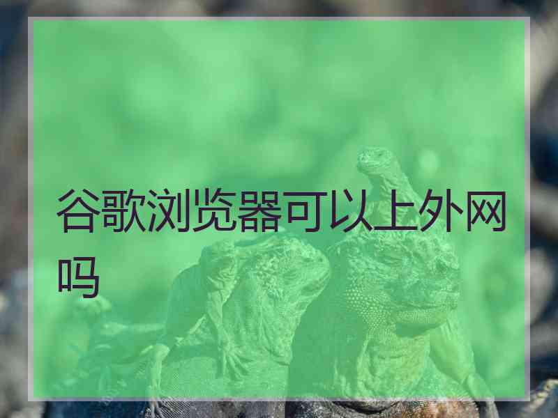 谷歌浏览器可以上外网吗