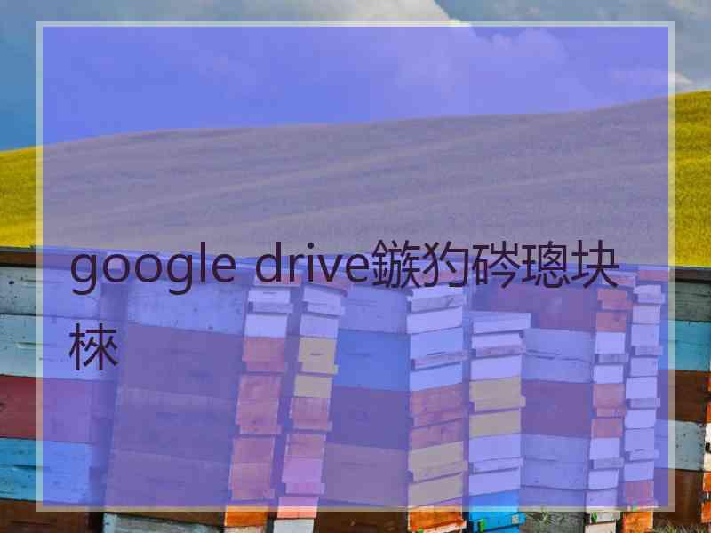 google drive鏃犳硶璁块棶