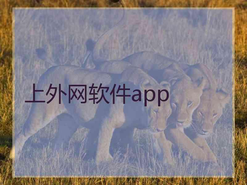 上外网软件app