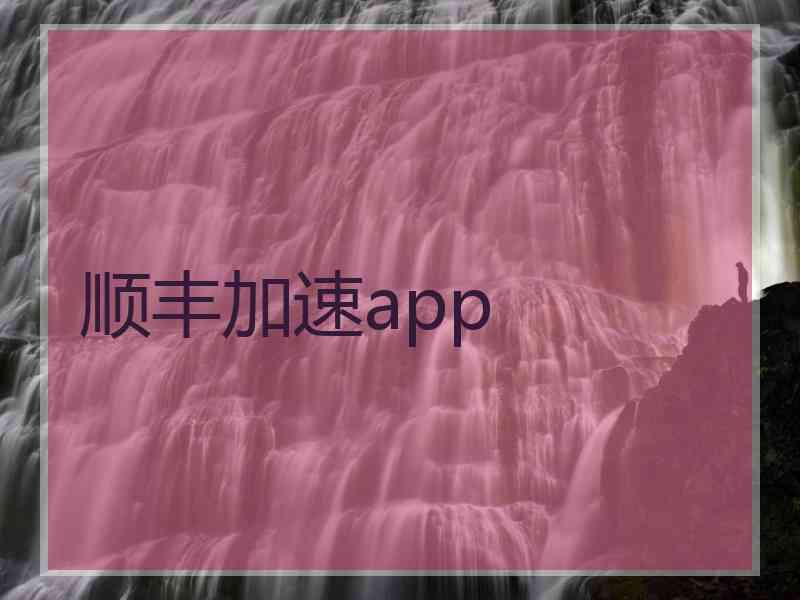 顺丰加速app