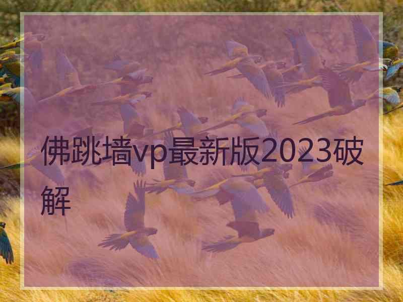 佛跳墙vp最新版2023破解