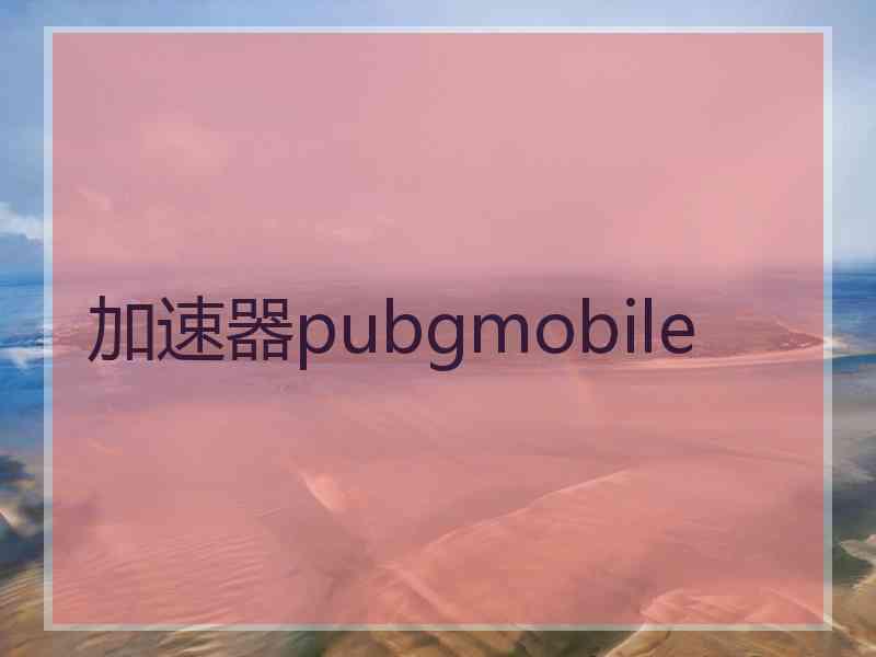 加速器pubgmobile