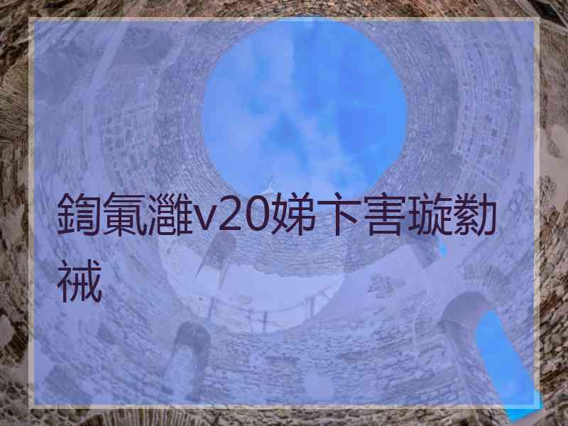 鍧氭灉v20娣卞害璇勬祴