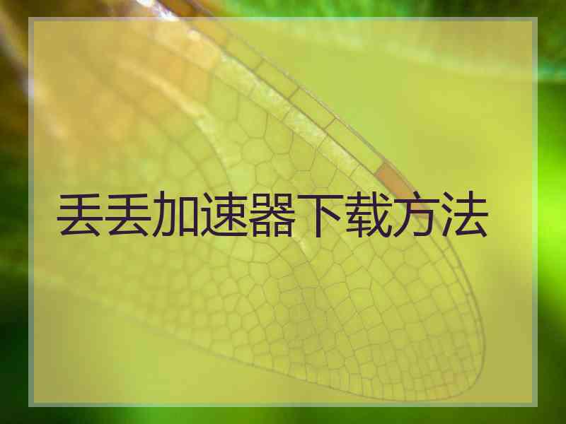 丢丢加速器下载方法