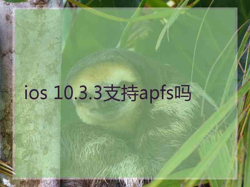 ios 10.3.3支持apfs吗