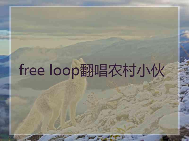 free loop翻唱农村小伙