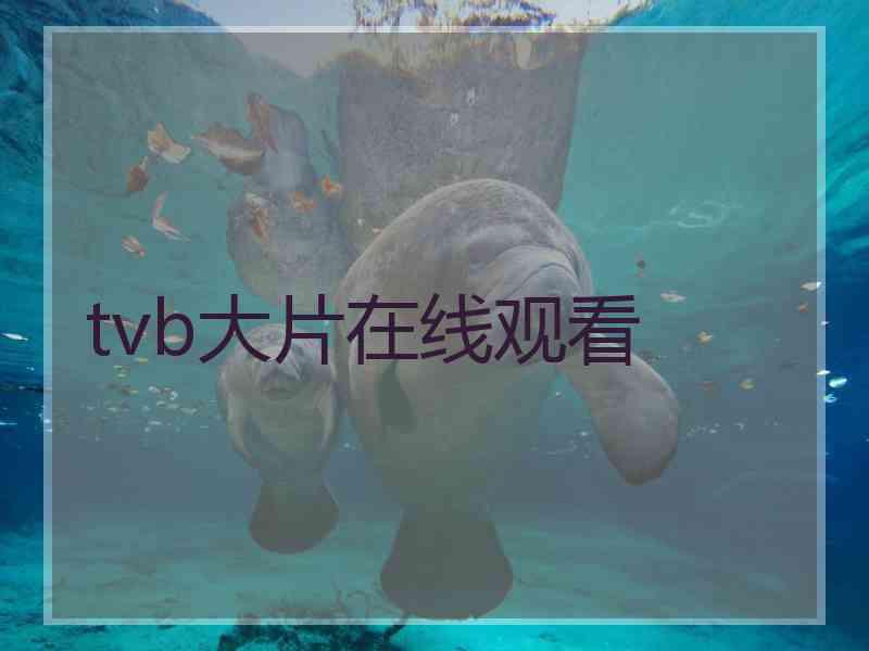 tvb大片在线观看