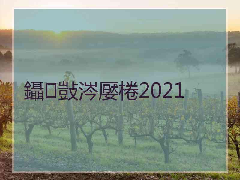 鑷敱涔嬮棬2021