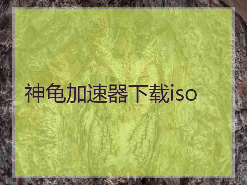 神龟加速器下载iso