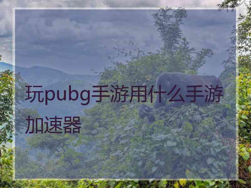 玩pubg手游用什么手游加速器