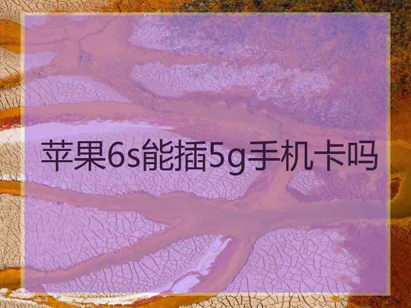 苹果6s能插5g手机卡吗