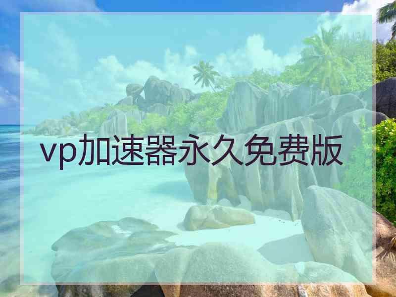 vp加速器永久免费版