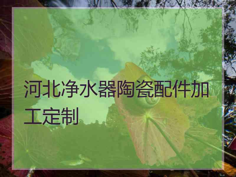 河北净水器陶瓷配件加工定制