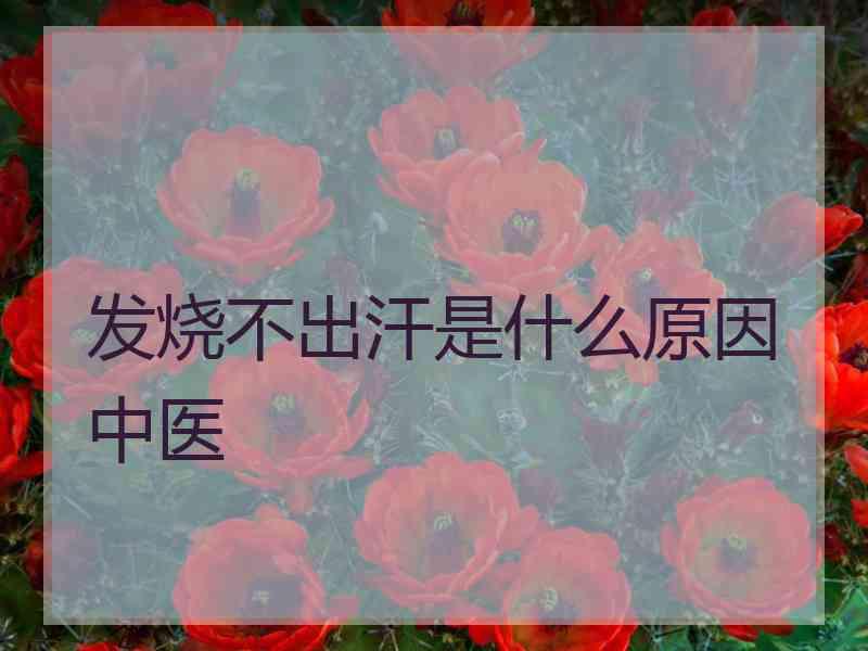 发烧不出汗是什么原因中医