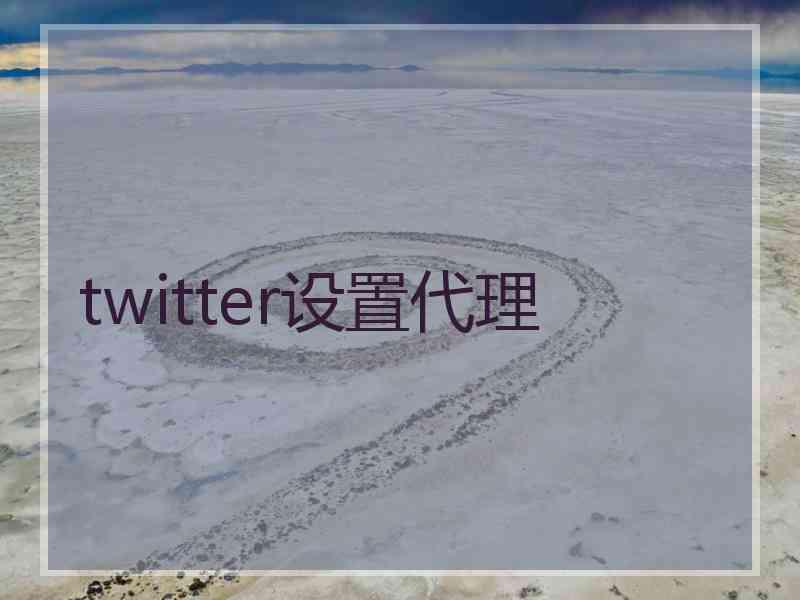 twitter设置代理