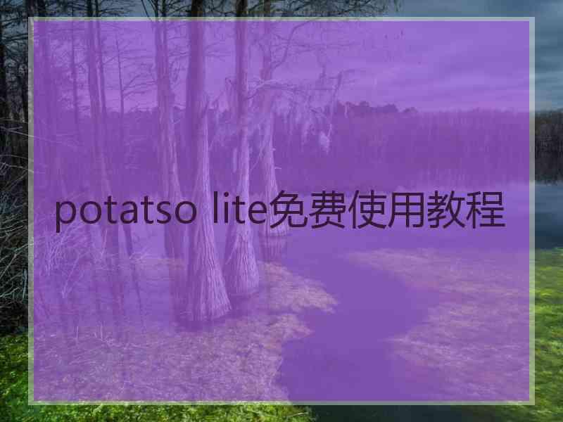 potatso lite免费使用教程