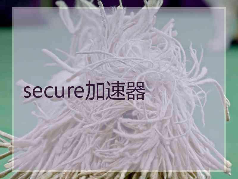 secure加速器