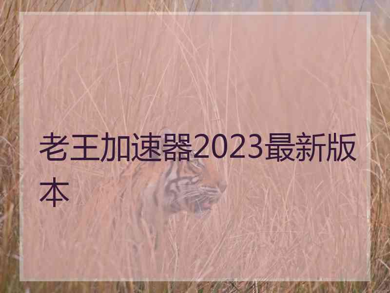 老王加速器2023最新版本