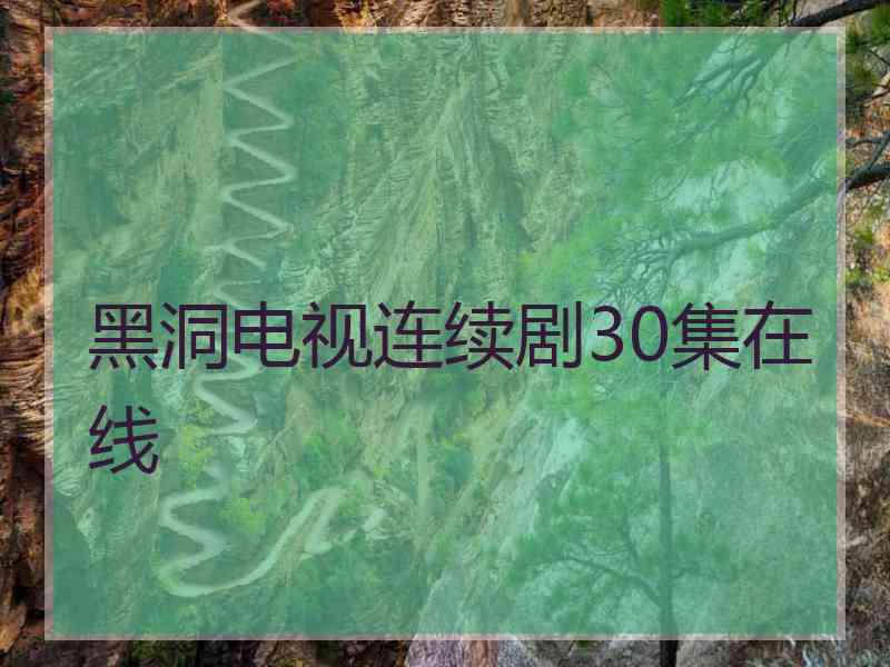 黑洞电视连续剧30集在线