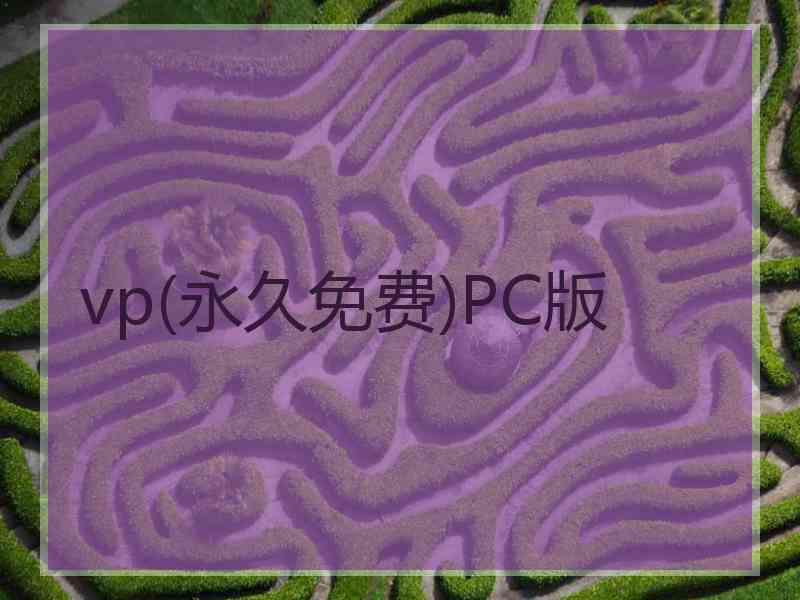 vp(永久免费)PC版