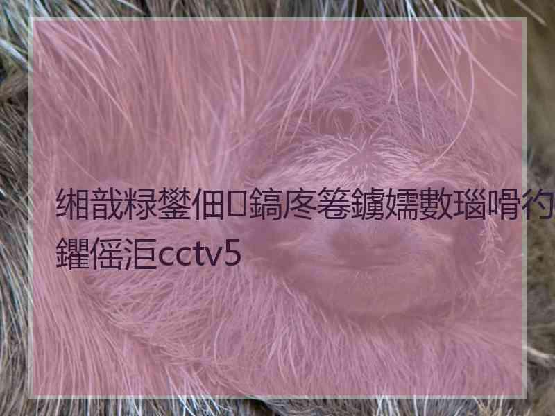 缃戠粶鐢佃鎬庝箞鐪嬬數瑙嗗彴鑺傜洰cctv5