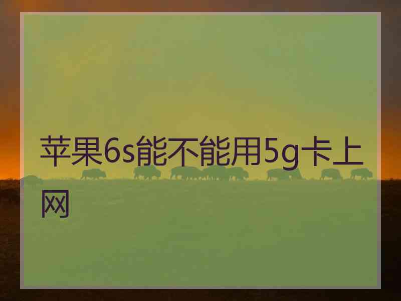 苹果6s能不能用5g卡上网