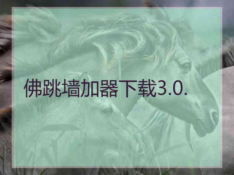 佛跳墙加器下载3.0.