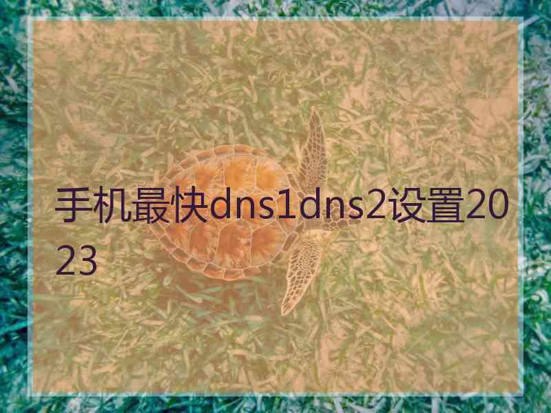 手机最快dns1dns2设置2023