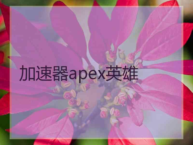 加速器apex英雄