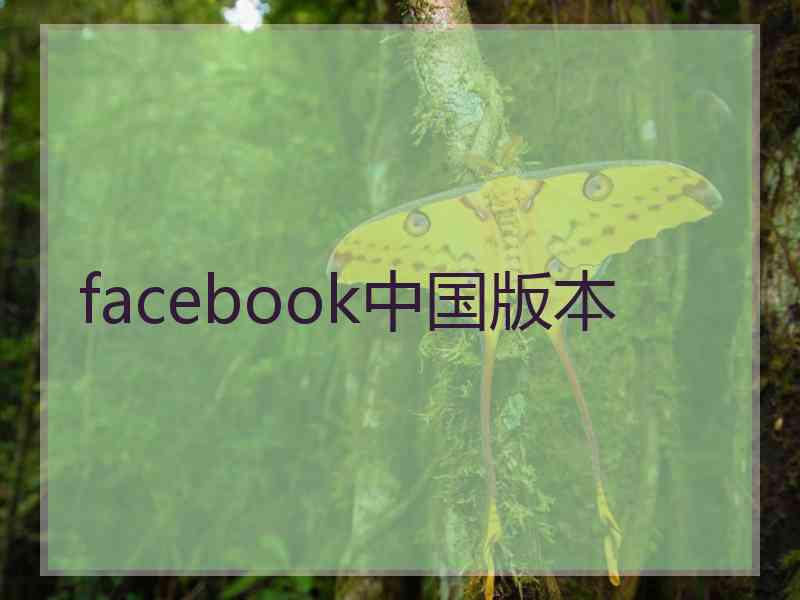 facebook中国版本
