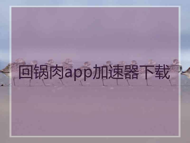 回锅肉app加速器下载