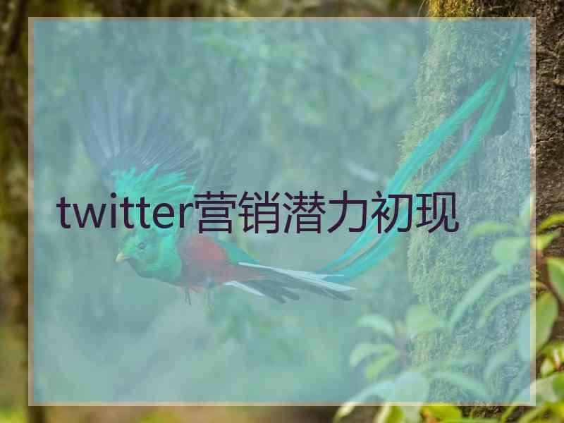 twitter营销潜力初现