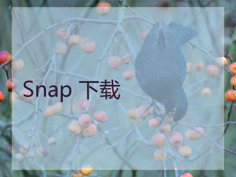 Snap 下载