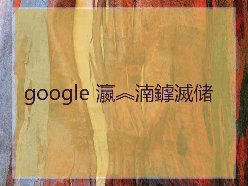 google 瀛︽湳鎼滅储