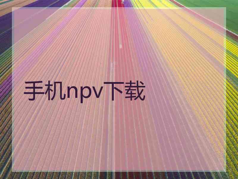 手机npv下载