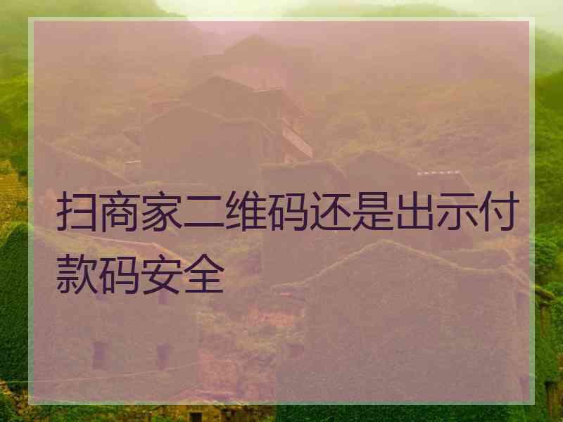 扫商家二维码还是出示付款码安全