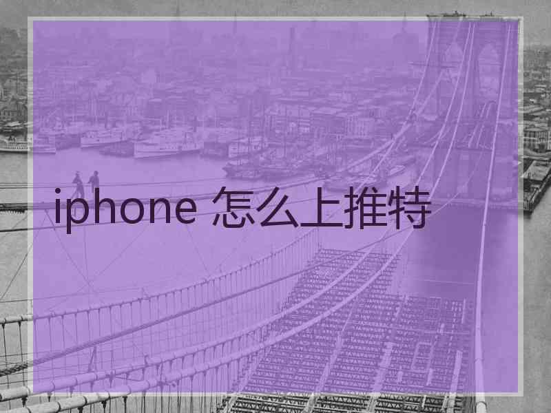 iphone 怎么上推特