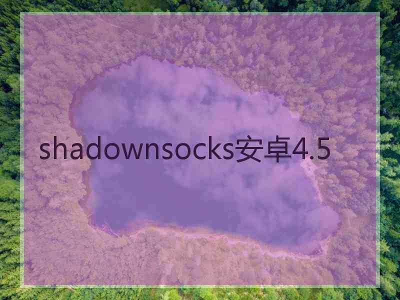 shadownsocks安卓4.5