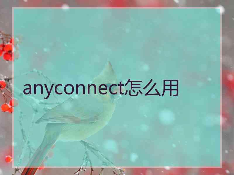 anyconnect怎么用