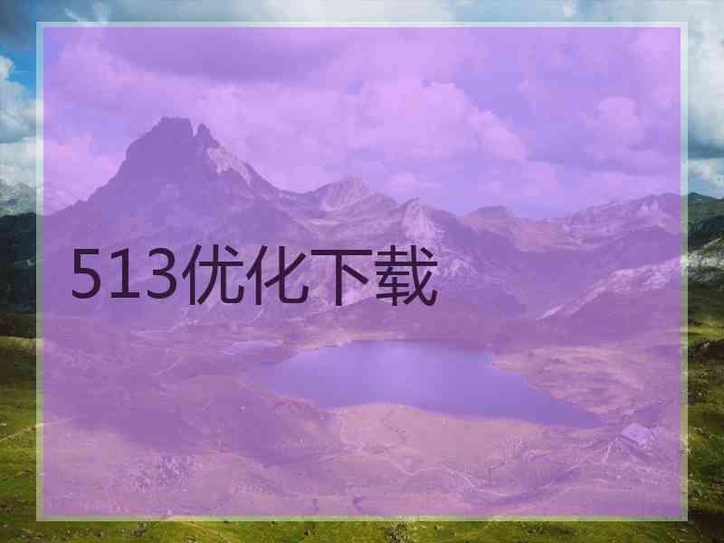 513优化下载