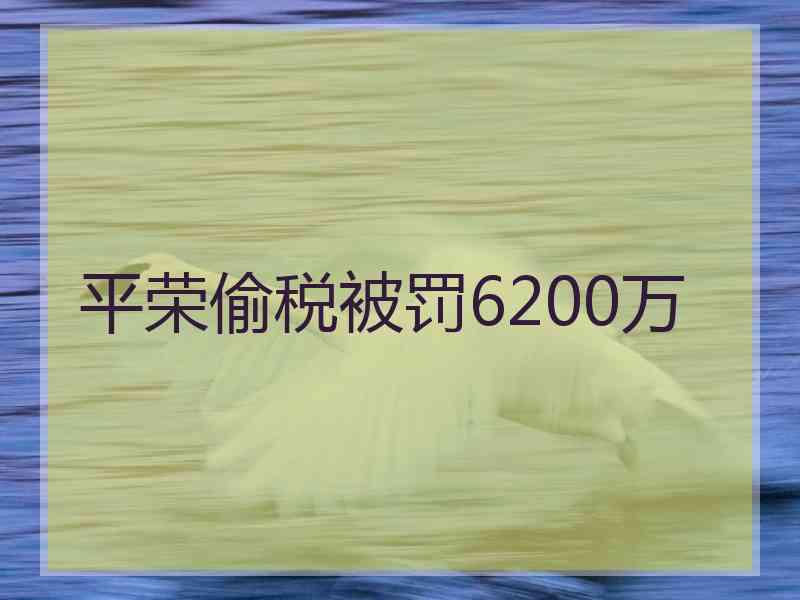 平荣偷税被罚6200万