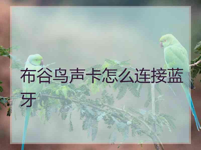 布谷鸟声卡怎么连接蓝牙