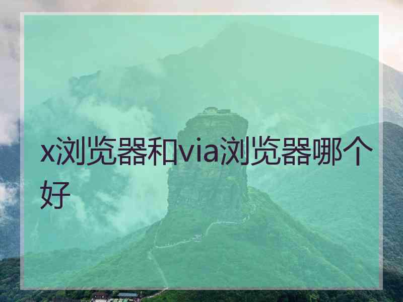 x浏览器和via浏览器哪个好