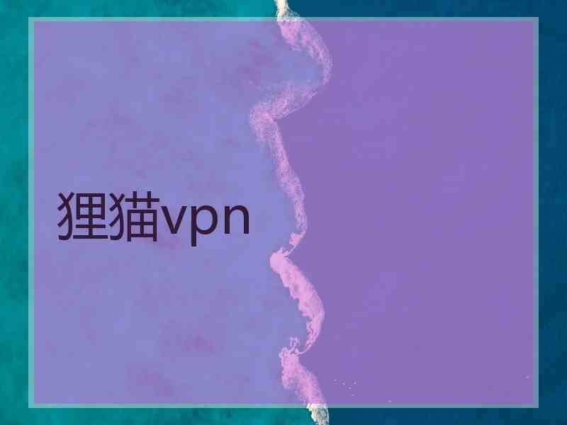 狸猫vpn