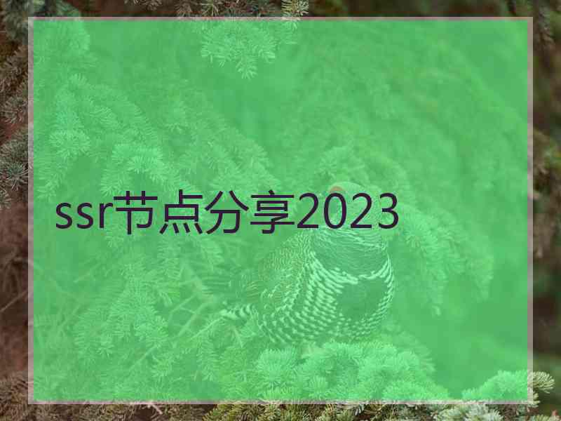 ssr节点分享2023