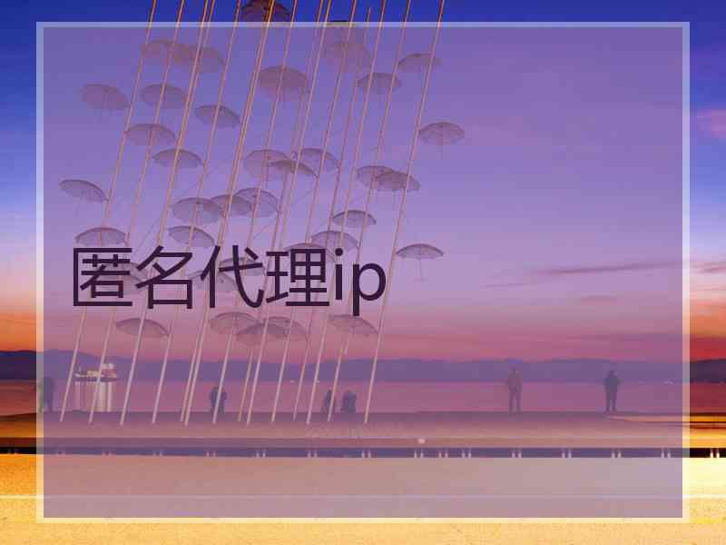 匿名代理ip