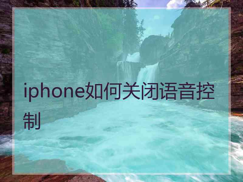 iphone如何关闭语音控制